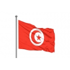 Флаг Туниса 70х105 СМ | Sumka