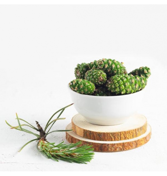 Zühre Mother Pine Cone Paste Паста из сосновых шишек, голограммный продукт | Sumka